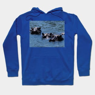 Hippos, Chobe River, Chobe National Park, Botswana Hoodie